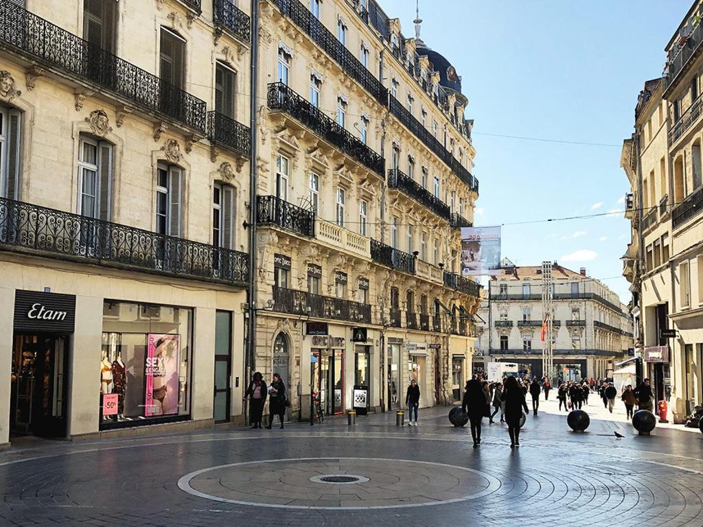Le Havre De Paix Montpellierain - Terrasse Et Parking Prive Lägenhet Exteriör bild